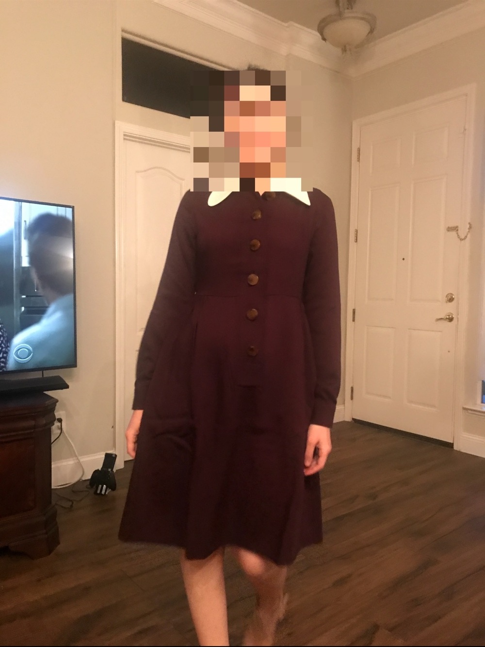 Classic Long-Sleeve A-Line Dress with Contrast Collar - Plum size US4